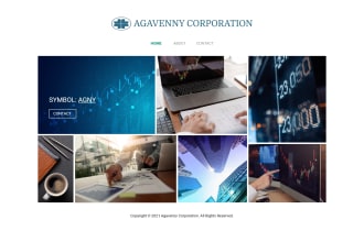 design a professional website to promote your project