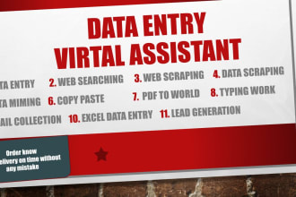speedy virtual assistant, web research, excel data entry services