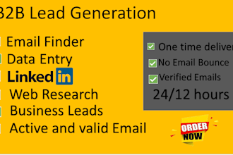 do b2b lead generation,data entry,linkdin research