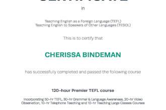 teach you basic english grammar