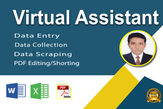 virtual assistant data entry copy paste convert pdf