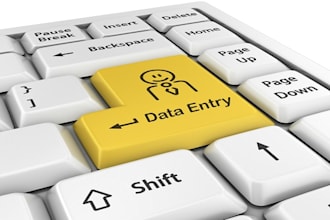 do 5 hours of expert Data Entry work