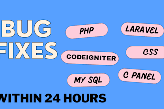 fix any bugs in the codeigniter and laravel website