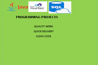 can handle programming projects