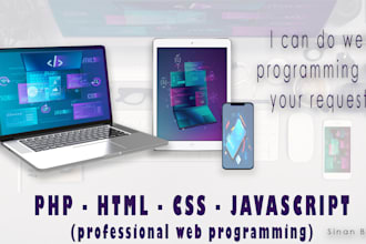 do professional web programming