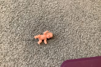 give you a monke pic