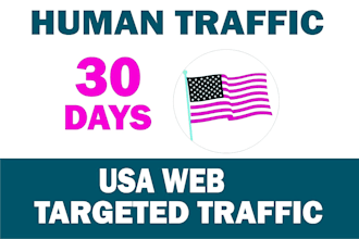 real organic USA targeted website traffic