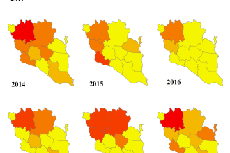 do hydraulic and hydrological analysis using gis and rs