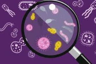 assist you in microbiology, biotechnology and molecular biology