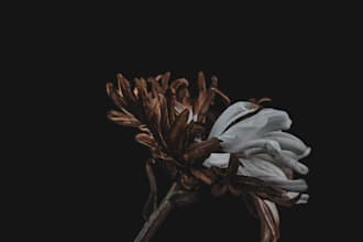 do photo editing in lightroom