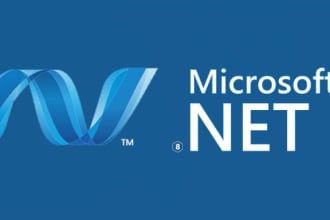 professional developer for dotnet and sql server application