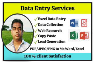 do data entry, copy paste, web research, excel, admin support work