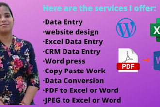 do data entry, typing, copy paste, website design
