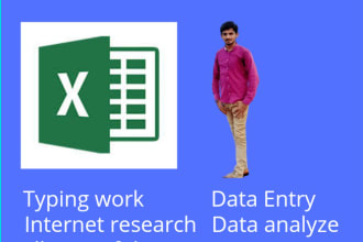do data entry typing work in excel spreadsheet