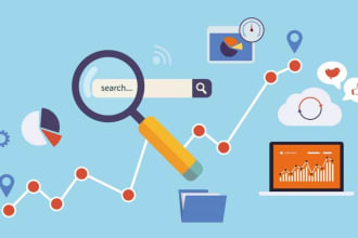 give you a professional seo report