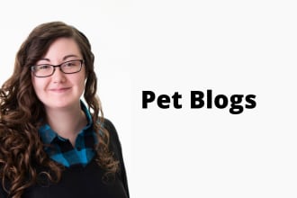 write an engaging pet blog post