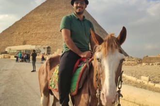 help you with anything related to egypt