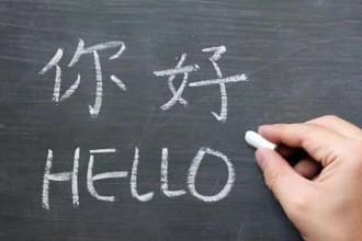professionally translate french and english to chinese