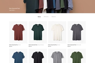 shopify dropshipping branded one product store