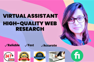 be your virtual assistant for data entry, web research, and admin tasks