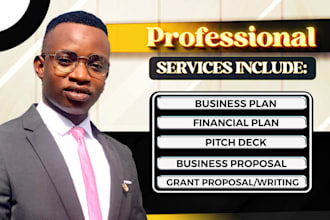 write an investor ready business plan, proposal grant writer