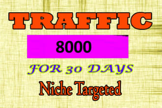 drive usa niche targeted visitors to your website
