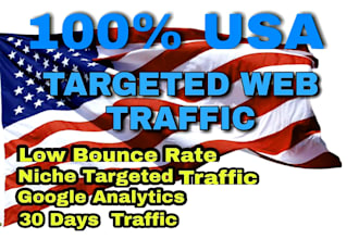 drive organic USA targeted web traffic to increase active visitors