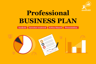 write a professional business plan for investor and startup business plan writer