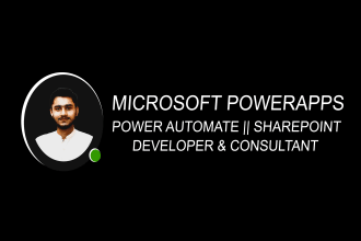 develop a custom powerapps, power automate, and power bi app