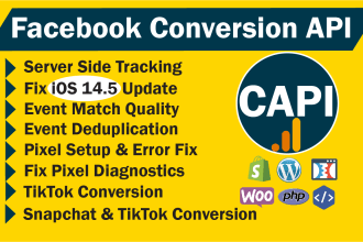 set up facebook conversion API with GTM or server side tracking