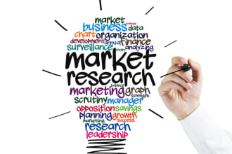 do comprehensive market research ,competitor analysis and business plan