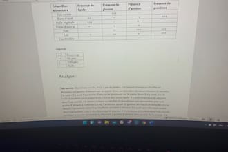 translate any type of english text to french