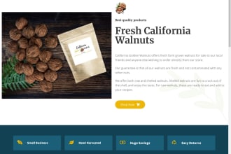 make a customized website audit and consultation