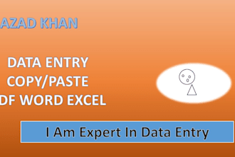 do data entry in ms office