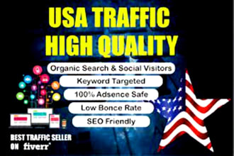 bring real targeted organic USA web traffic