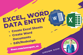 do your ms excel expert, data entry in excel,