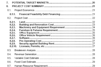 create a winning startup business plan, feasibility and strategy to get funding