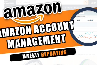 be your amazon fba consultant and do amazon fba account management