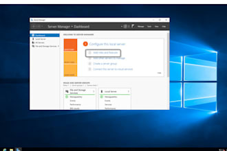 perform troubleshooting procedures on a windows server