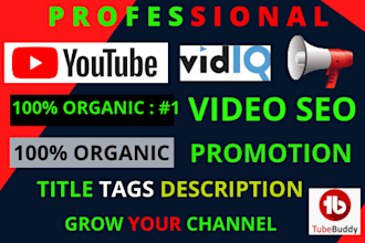 promote youtube video ranking by SEO tags title description