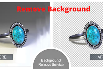 professionally remove background from your pictures