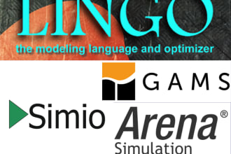 assist you in operation research, linear programming, simio, lingo and arena