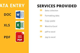 do professional data entry in ms word, ms excel or other spreadsheets