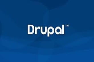 fix bugs, errors, install theme,plugin drupal website