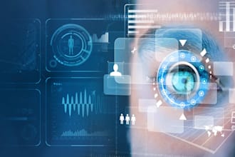 provide professional image processing and computer vision solutions
