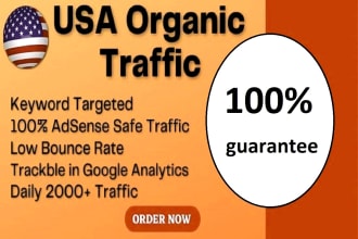 usa adsense safe organic website traffic