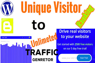 30 days of unlimited traffic to your website