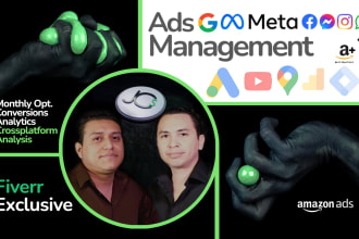 manage your PPC google ads, youtube, or facebook ads