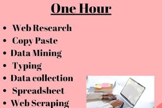 do fastest data entry, web research and copy paste work