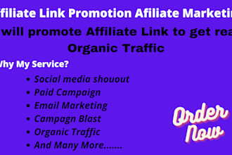 do affiliate link promotion, affiliate marketing
